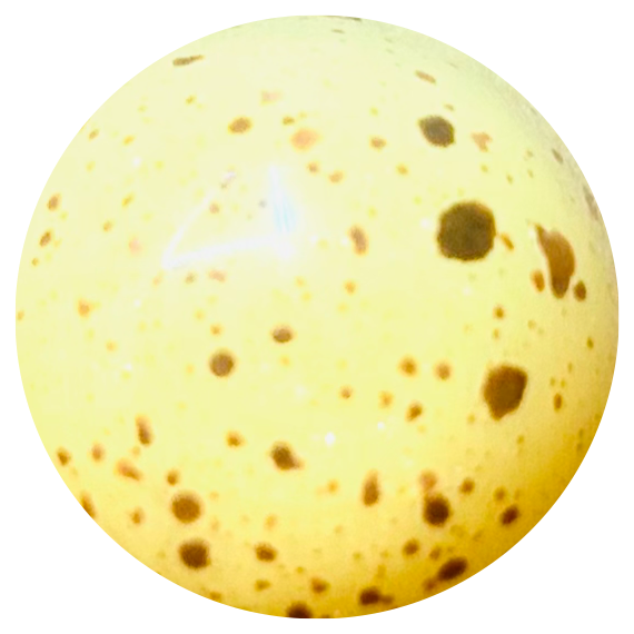 Pralinen